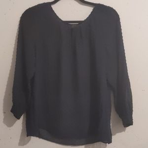 Sheer Navy Swiss For Blouse from JCrew